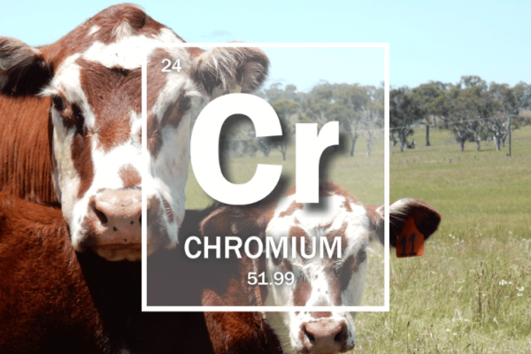 Mineral Of The Month: Chromium