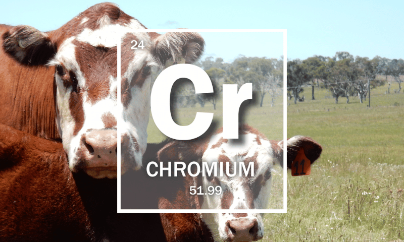 Mineral Of The Month: Chromium