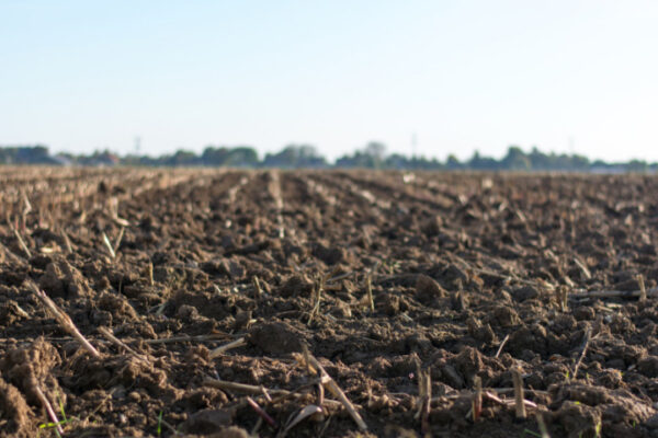 Do you have a Phosphate Bank in your soil?