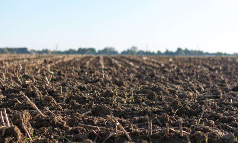 Do you have a Phosphate Bank in your soil?