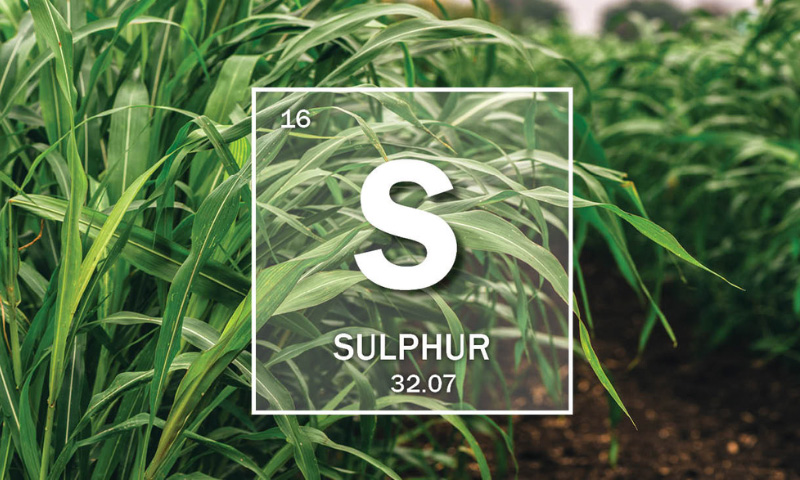 Mineral Of The Month: Sulphur