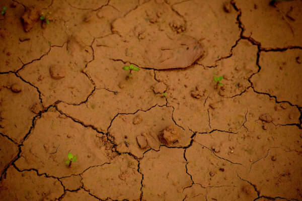 Sodium – Challenges & Solutions