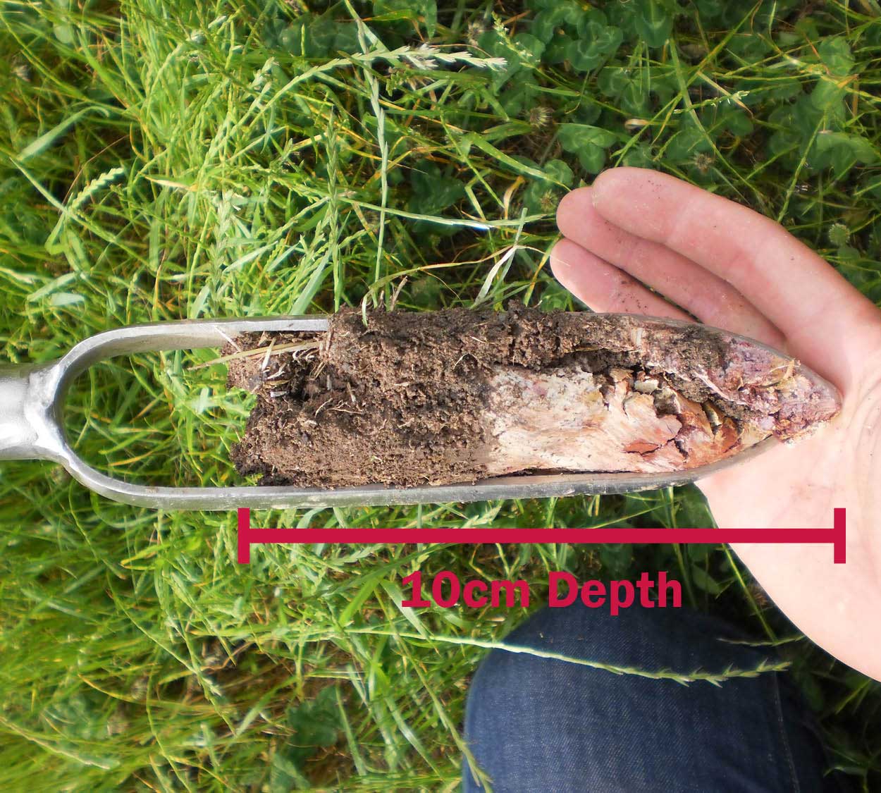 How To Do A Soil Test AgSolutions