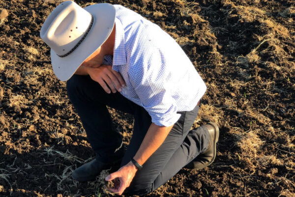 Soil Testing – A Valuable Business Decision Making Tool