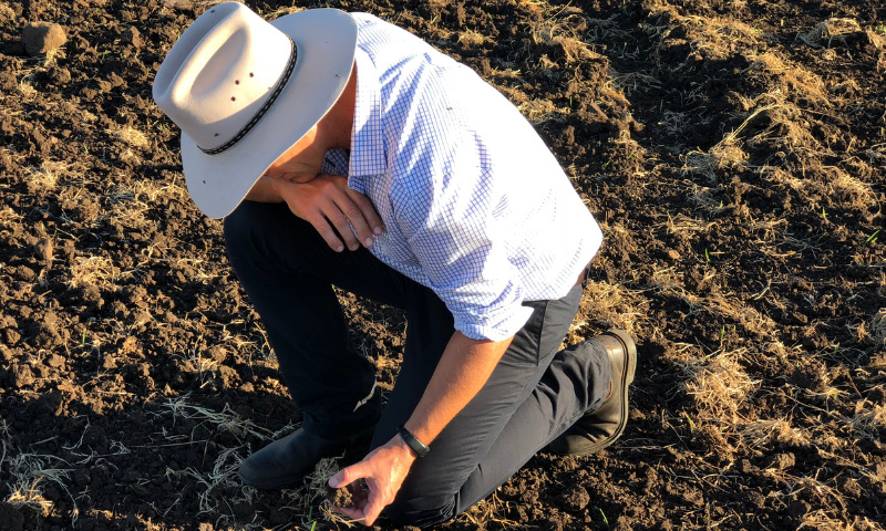 Soil Testing – A Valuable Business Decision Making Tool
