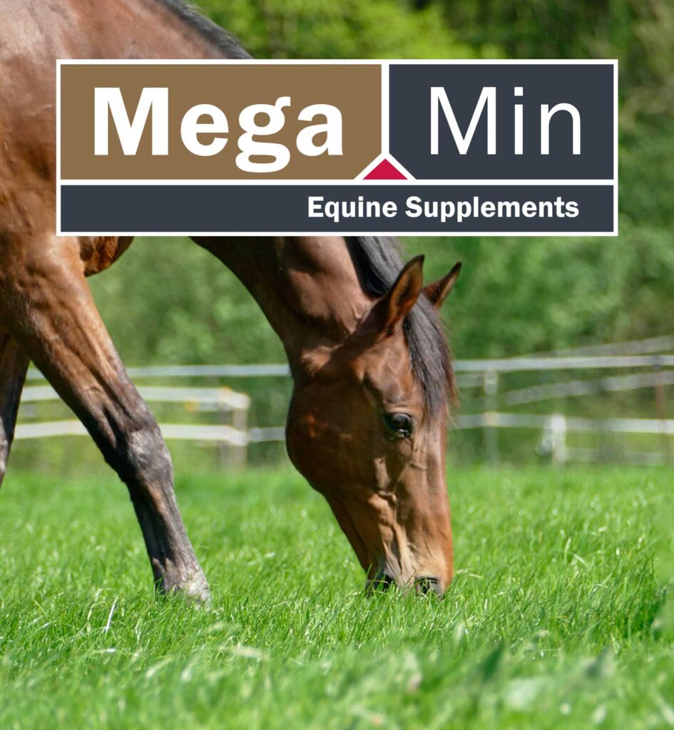 Soil Nutrition and Livestock Supplements AgSolutions