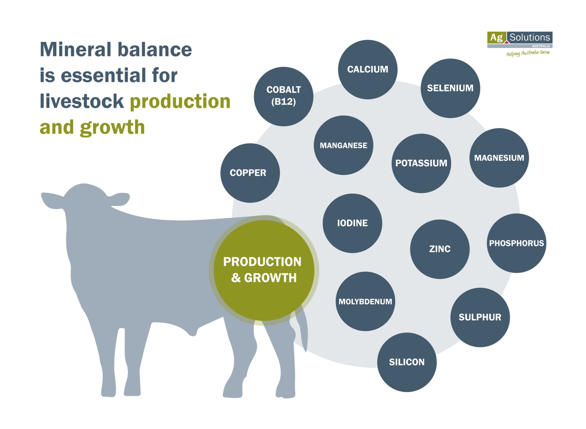 Ration Formulation - AgSolutions
