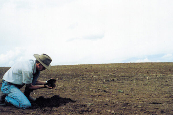 A comprehensive program to restore soil fertility