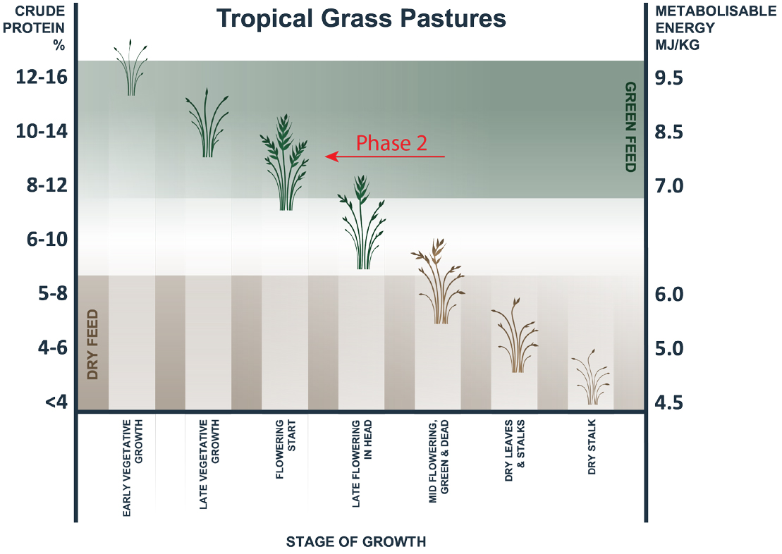 Overgrazing Graph Grazing Management - AgSolutions